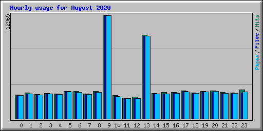 Hourly usage for August 2020