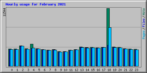 Hourly usage for February 2021