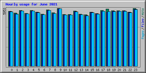 Hourly usage for June 2021