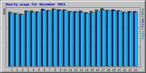 Hourly usage for December 2021