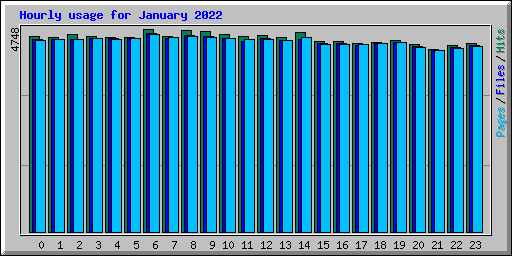 Hourly usage for January 2022