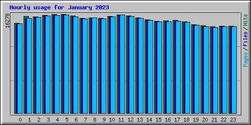 Hourly usage for January 2023