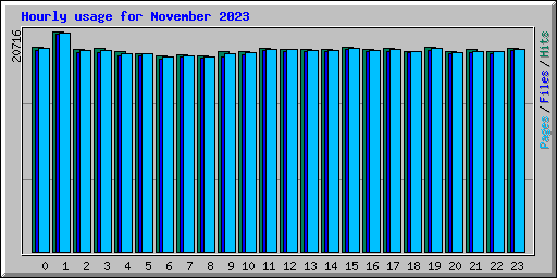 Hourly usage for November 2023
