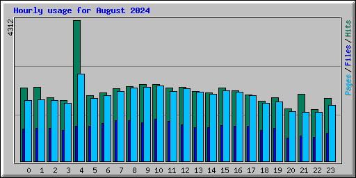Hourly usage for August 2024
