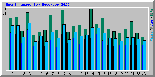 Hourly usage for December 2025