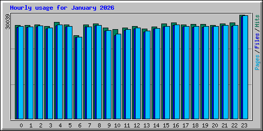 Hourly usage for January 2026