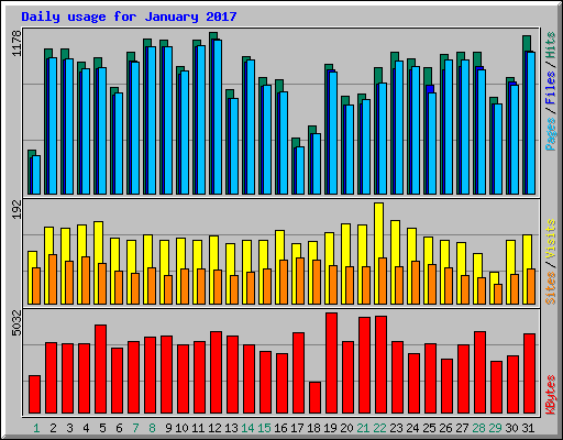 Daily usage for January 2017