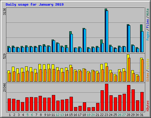 Daily usage for January 2019