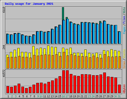 Daily usage for January 2021