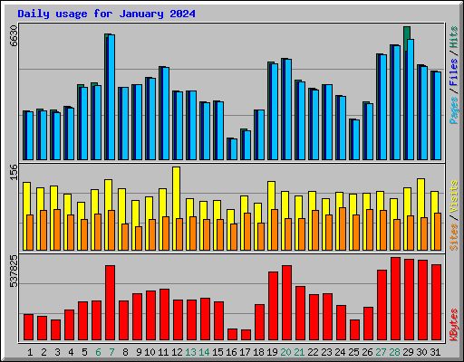 Daily usage for January 2024