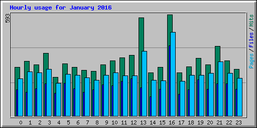 Hourly usage for January 2016