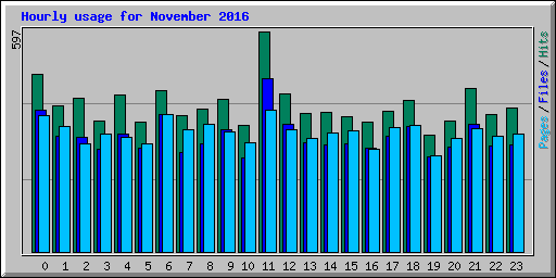 Hourly usage for November 2016
