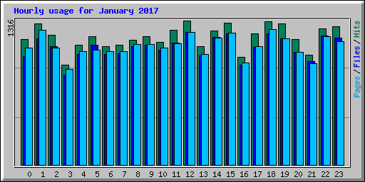 Hourly usage for January 2017