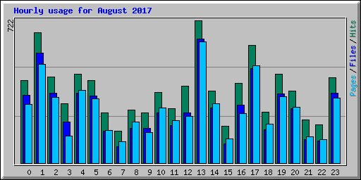 Hourly usage for August 2017