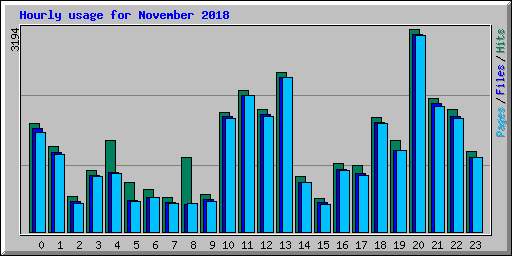 Hourly usage for November 2018