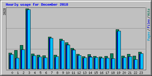 Hourly usage for December 2018