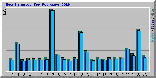 Hourly usage for February 2019