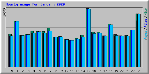 Hourly usage for January 2020