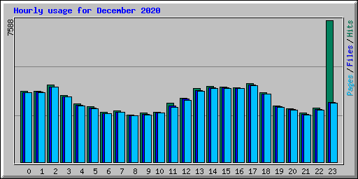 Hourly usage for December 2020