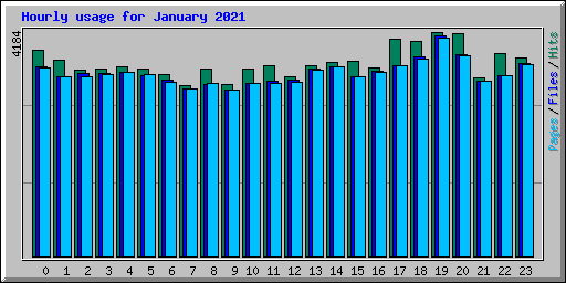 Hourly usage for January 2021