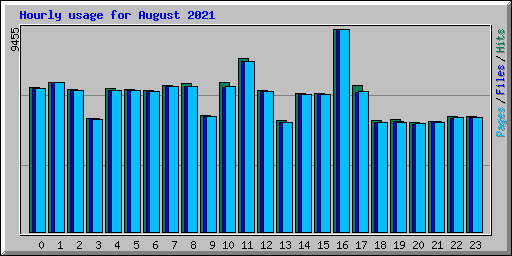 Hourly usage for August 2021