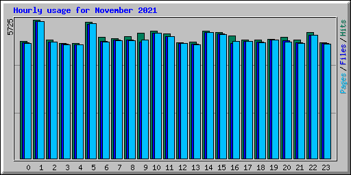 Hourly usage for November 2021