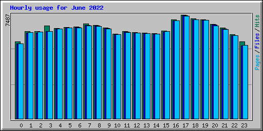 Hourly usage for June 2022