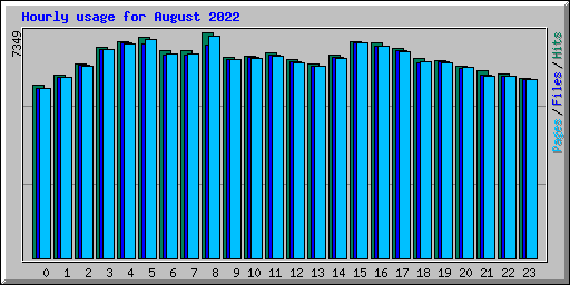 Hourly usage for August 2022