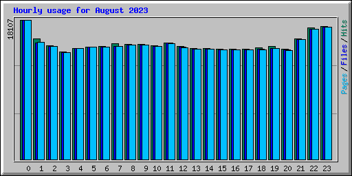 Hourly usage for August 2023