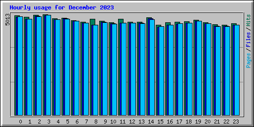 Hourly usage for December 2023