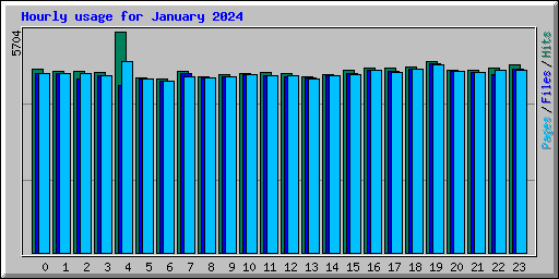 Hourly usage for January 2024