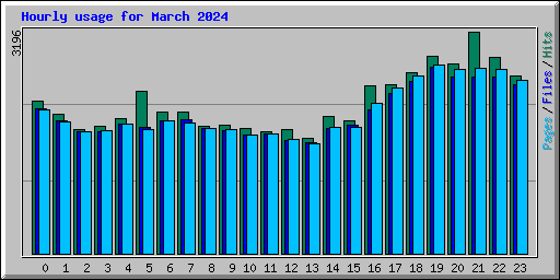Hourly usage for March 2024