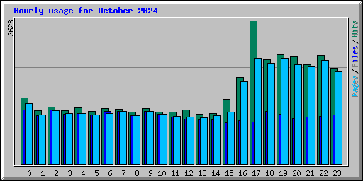 Hourly usage for October 2024