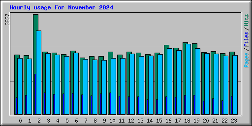 Hourly usage for November 2024