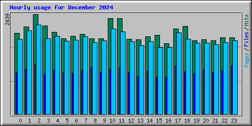 Hourly usage for December 2024