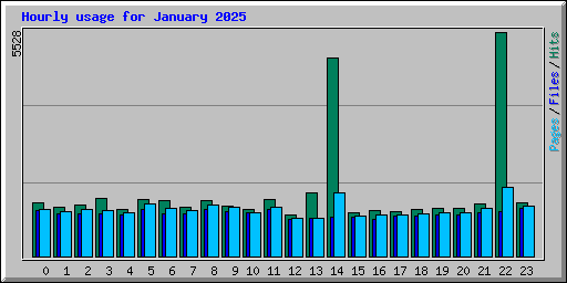 Hourly usage for January 2025