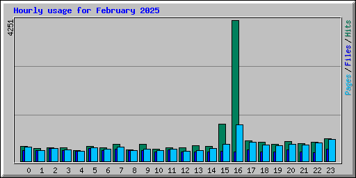 Hourly usage for February 2025
