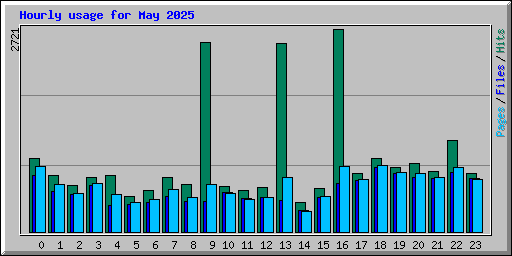 Hourly usage for May 2025