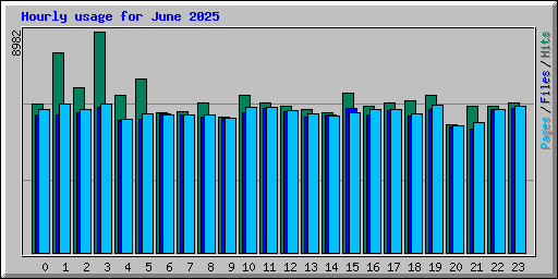Hourly usage for June 2025