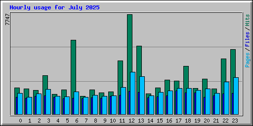 Hourly usage for July 2025