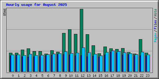 Hourly usage for August 2025