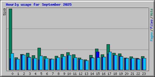 Hourly usage for September 2025