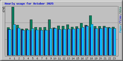 Hourly usage for October 2025