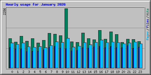 Hourly usage for January 2026