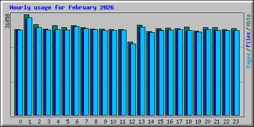 Hourly usage for February 2026
