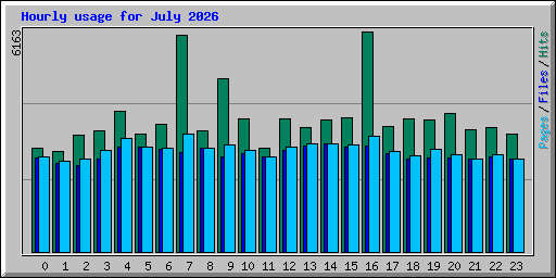 Hourly usage for July 2026
