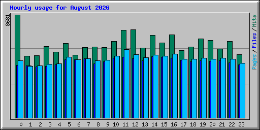 Hourly usage for August 2026
