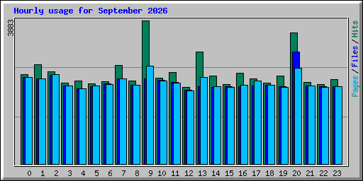 Hourly usage for September 2026